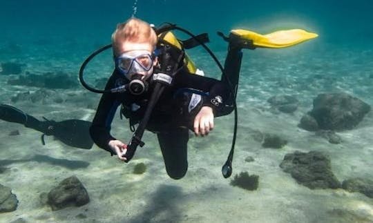 Enjoy Diving Courses in Enschede, Netherlands