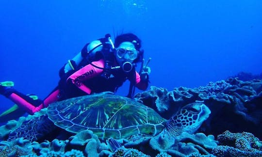 Disfruta del buceo en el municipio de Hengchun, Taiwán