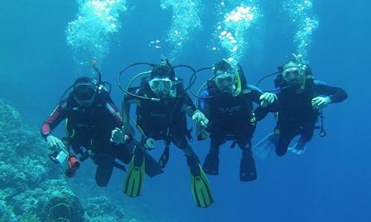 Cursos y viajes de buceo para adultos y niños en la gobernación del Sinaí del Sur, Egipto