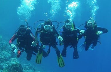 Diving Courses and Trips for adults and kids in South Sinai Governorate, Egypt