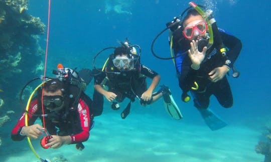 Cursos y viajes de buceo para adultos y niños en la gobernación del Sinaí del Sur, Egipto