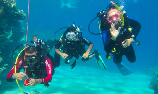 Diving Courses and Trips for adults and kids in South Sinai Governorate, Egypt
