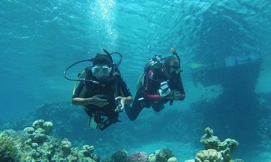 Cursos y viajes de buceo para adultos y niños en la gobernación del Sinaí del Sur, Egipto