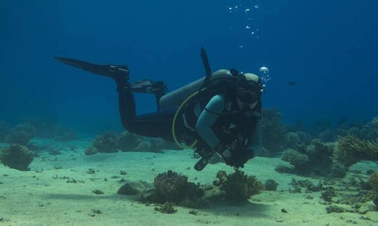 Cursos y viajes de buceo para adultos y niños en la gobernación del Sinaí del Sur, Egipto