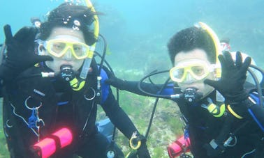 Disfruta del buceo en el distrito de Xinyi, Taipéi, Taiwán