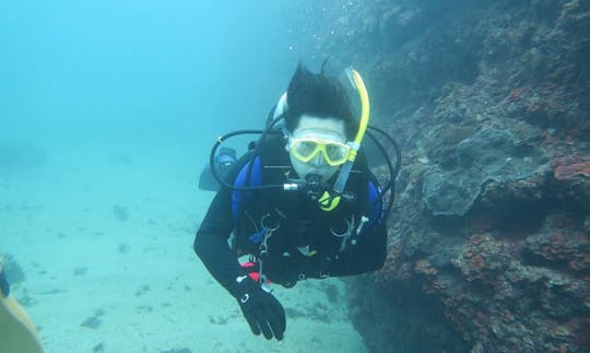 Enjoy Diving in Xinyi District, Taipei, Taiwan