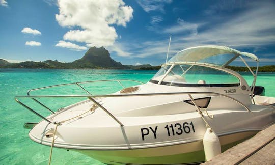 20ft Quicksilver Snorkeling Boat Tour on Bora Bora Island in French Polynesia
