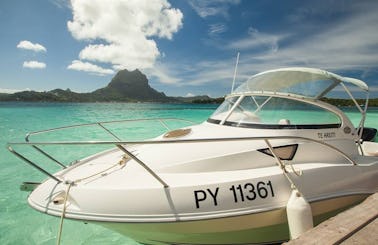 20ft Quicksilver Snorkeling Boat Tour on Bora Bora Island in French Polynesia