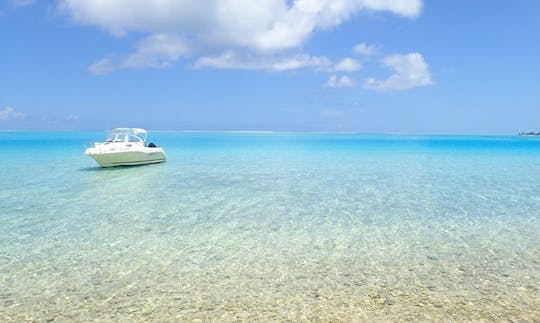 20ft Quicksilver Snorkeling Boat Tour on Bora Bora Island in French Polynesia