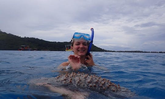 20ft Quicksilver Snorkeling Boat Tour on Bora Bora Island in French Polynesia