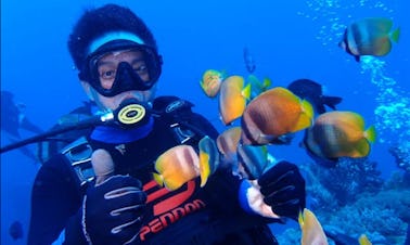 Disfruta de los cursos de buceo en el distrito de Beitun, Taichung, Taiwán