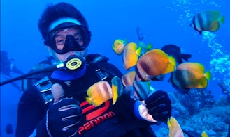 Enjoy Diving Courses in Beitun District, Taichung, Taiwan
