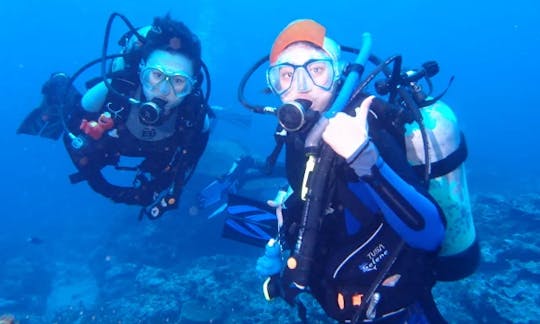 Enjoy Diving Courses in Beitun District, Taichung, Taiwan