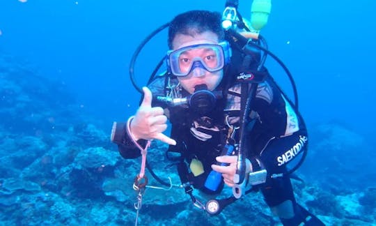 Enjoy Diving Courses in Beitun District, Taichung, Taiwan