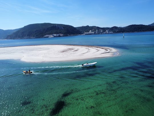 Tour por Río Sado para hasta 12 personas