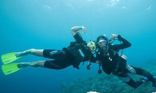 Enjoy Diving Courses in Breda, Netherlands