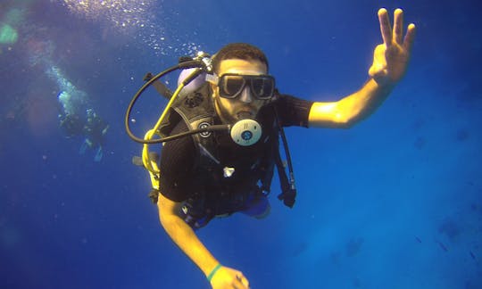 Enjoy Diving in Red Sea Governorate, Egypt