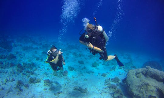 Enjoy Diving in Red Sea Governorate, Egypt