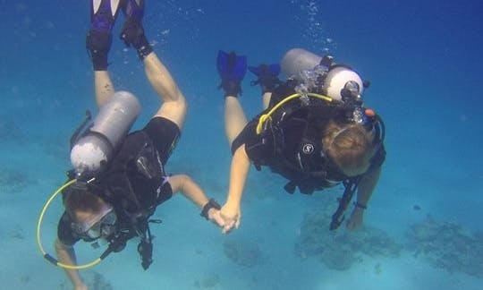 Enjoy Diving in Red Sea Governorate, Egypt