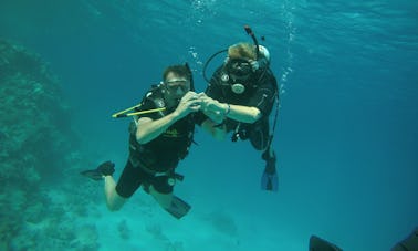 エジプトの紅海県でダイビングをお楽しみください