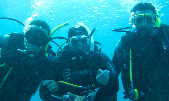 PADI Scuba Diving Courses in South Sinai Governorate, Egypt