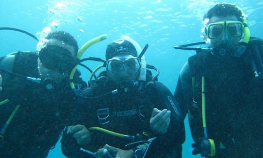 PADI Scuba Diving Courses in South Sinai Governorate, Egypt