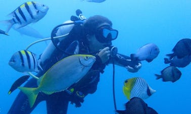 Disfruta del buceo en el distrito de Xinyi, Taiwán