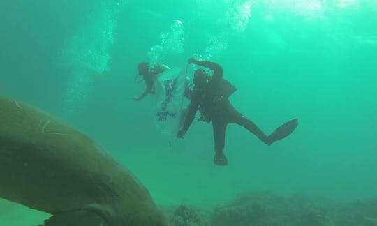 Enjoy Diving in Marsa Alam, Egypt