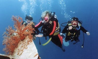 Desfrute de cursos de mergulho na província do Mar Vermelho, Egito