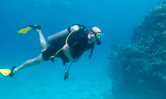 PADI Open Water Diver Course in Red Sea Governorate, Egypt
