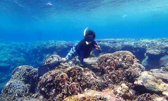 Enjoy Snorkeling in Lanyu Township, Taiwan