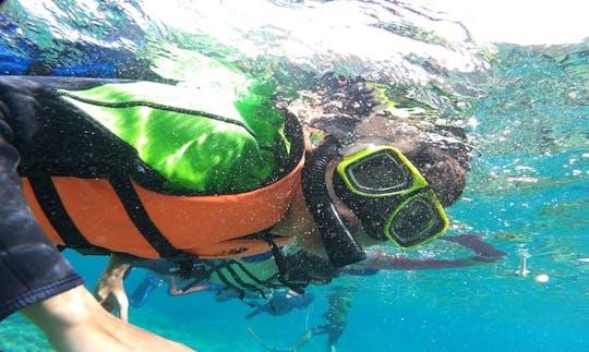 Enjoy Snorkeling in Lanyu Township, Taiwan