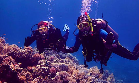 Fun Scuba Diving Trips and Courses in Red Sea Governorate, Egypt