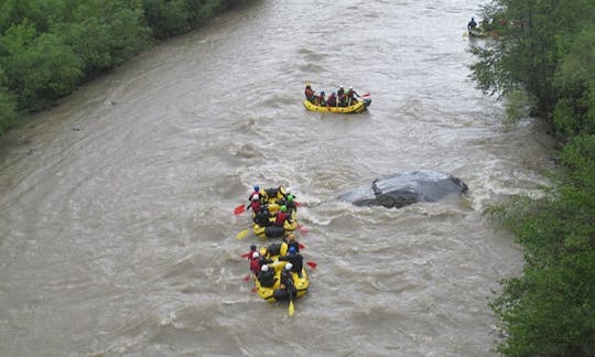 Rafting Trips in Bucharest, Romania