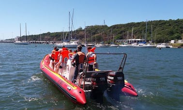 Charter a Rigid Inflatable Boat in East London, South Africa