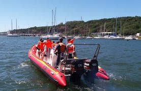 Charter a Rigid Inflatable Boat in East London, South Africa
