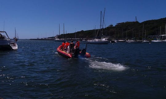 Charter a Rigid Inflatable Boat in East London, South Africa