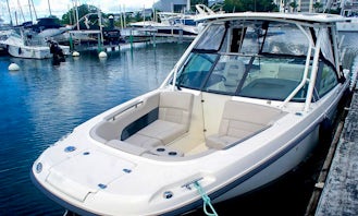 Cruise in Style in Guadeloupe On "Espérance" Boston Whaler Boat