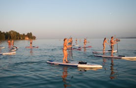 Enjoy Stand Up Paddleboard in Konstanz, Germany
