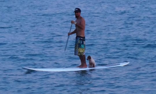 Paddleboard in Río Hato