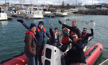 Disfruta de viajes y clases de apnea en Reikiavik, Islandia