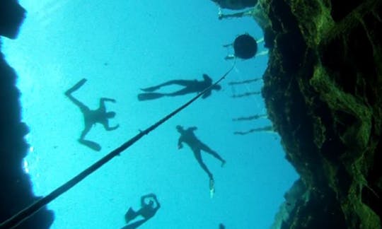 Enjoy Freediving Trips and Lessons in Reykjavík, Iceland