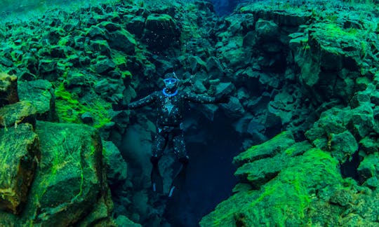 Enjoy Freediving Trips and Lessons in Reykjavík, Iceland