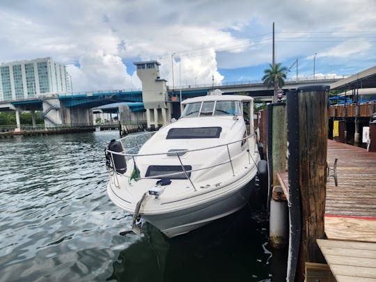 Yacht Sea Ray de 43 pieds à Miami/Fort Lauderdale