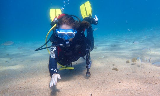 Discover Scuba Diving in Tossa de Mar, Catalunya