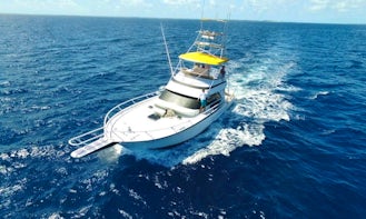 58' Striker Sport Fisher - Deep Sea Fishing  in Nassau