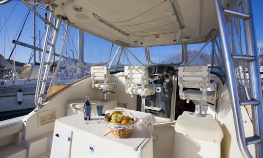 Fishing Charter on the Pursuit Offshore 3000 Yacht