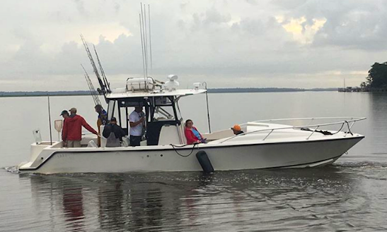 Fishing Charter On 31' Sea Vee Center Console In Savannah, Georgia