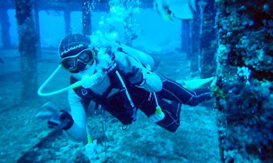 Enjoy Diving Courses in Datong District, Taiwan