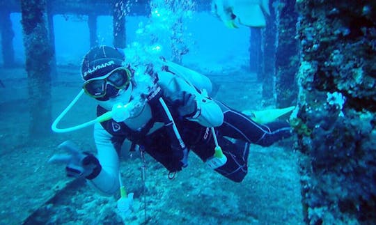 Enjoy Diving Courses in Datong District, Taiwan